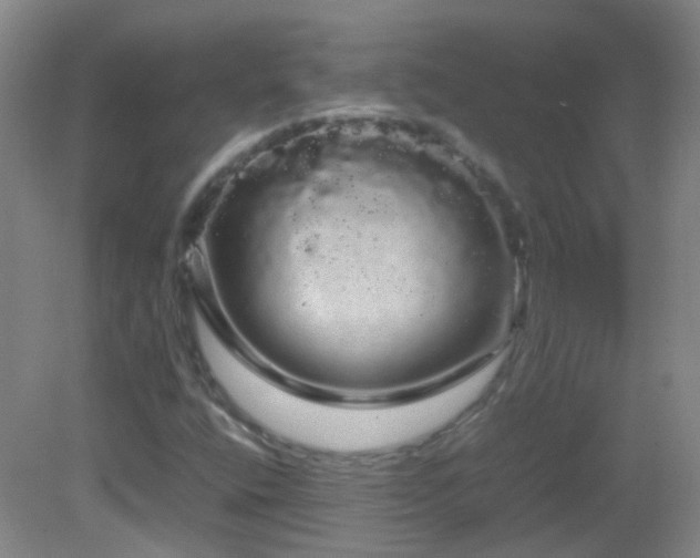X0000082941400200702011253
