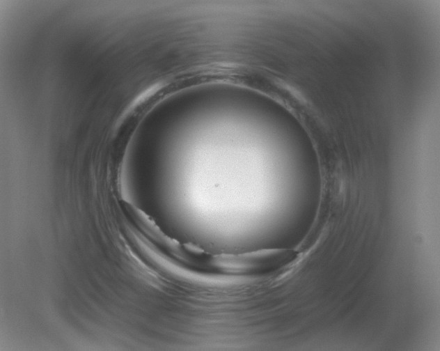 X0000082941402200702011254