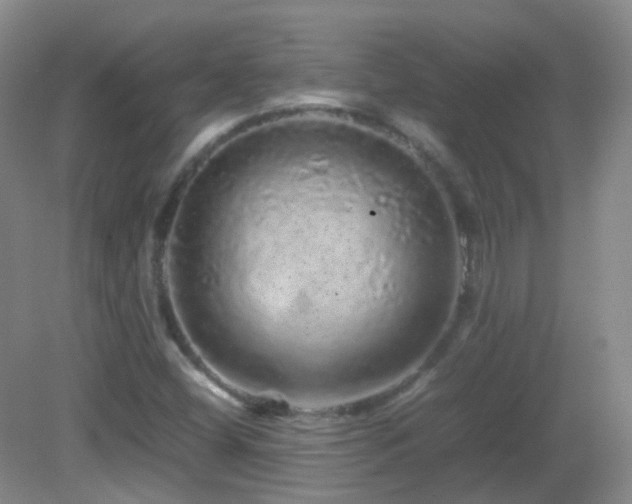 X0000082941404200702011254