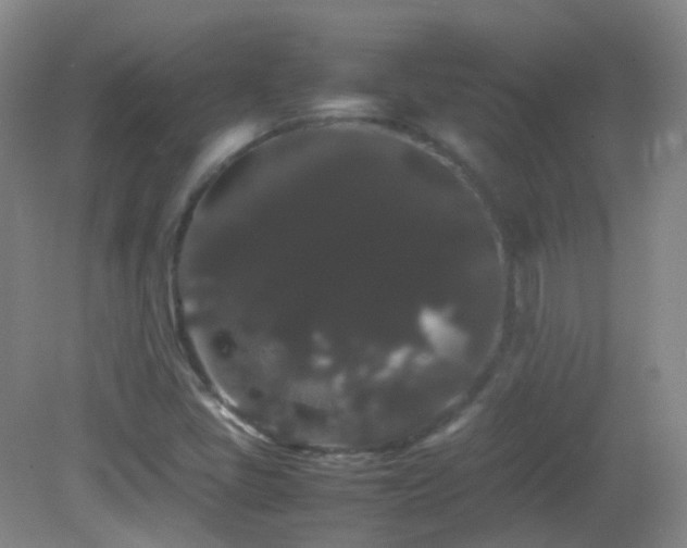 X0000082941405200702011254