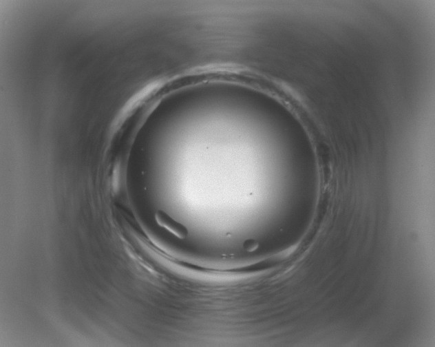 X0000082941406200702011254