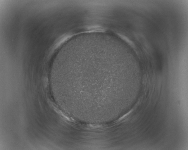 X0000082941407200702011254