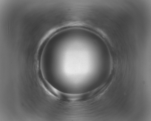 X0000082941414200702011254