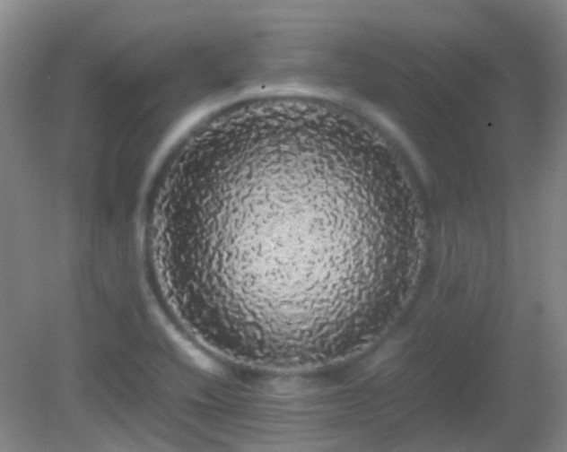 X0000082941416200702011254