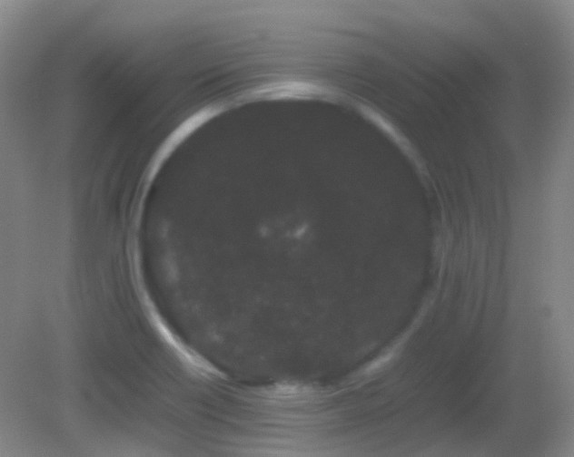 X0000082941418200702011254