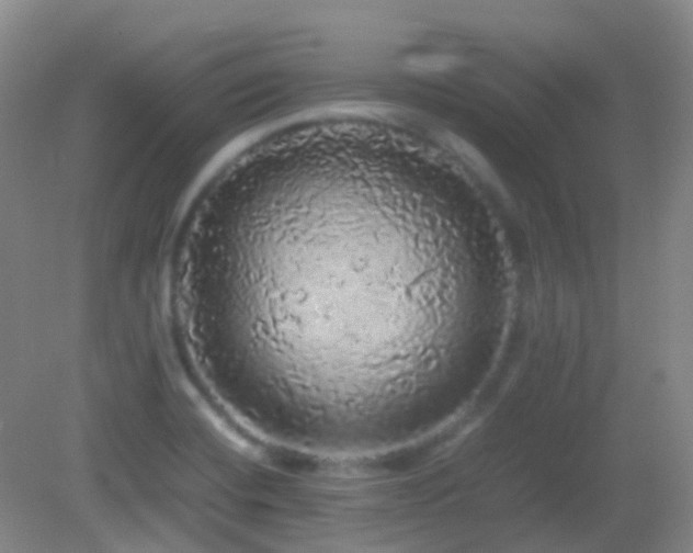 X0000082941420200702011254