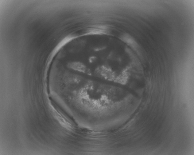 X0000082941427200702011254