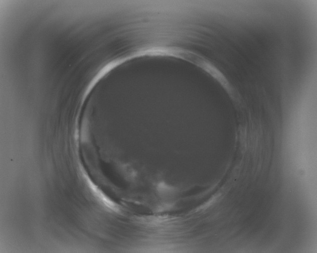 X0000082941428200702011254