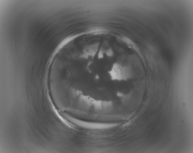 X0000082941429200702011254