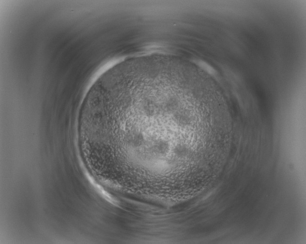 X0000082941431200702011254