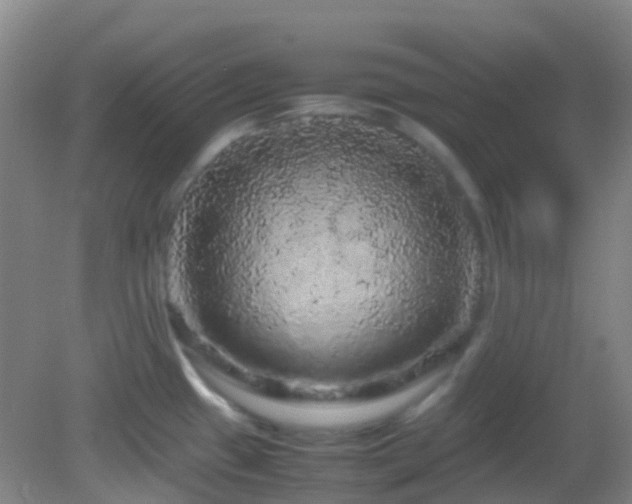X0000082941433200702011254