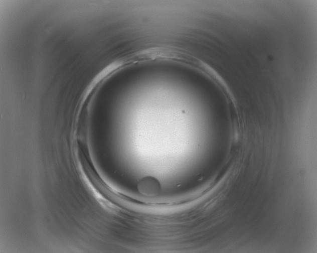 X0000082941434200702011254