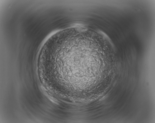 X0000082941435200702011254