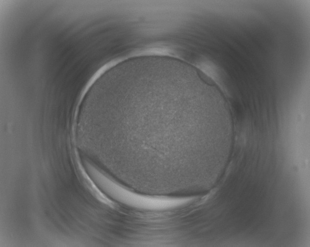 X0000082941436200702011254