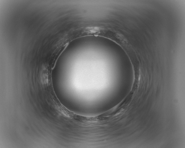 X0000082941442200702011253