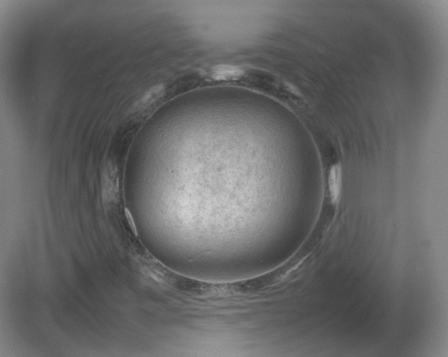 X0000082941443200702011253