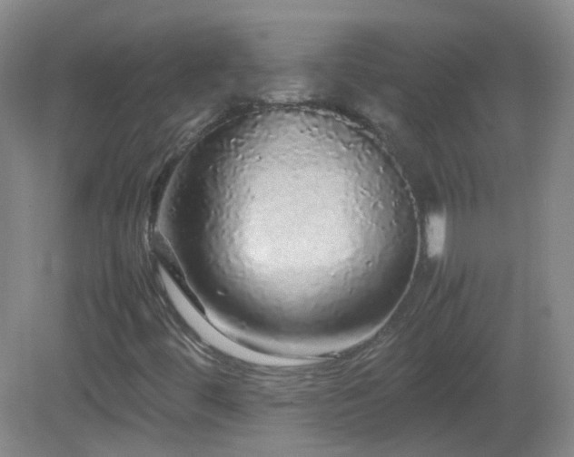 X0000082941444200702011253