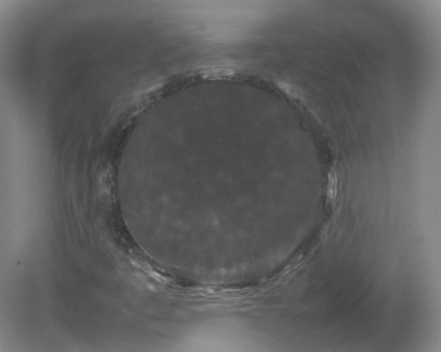 X0000082941445200702011253