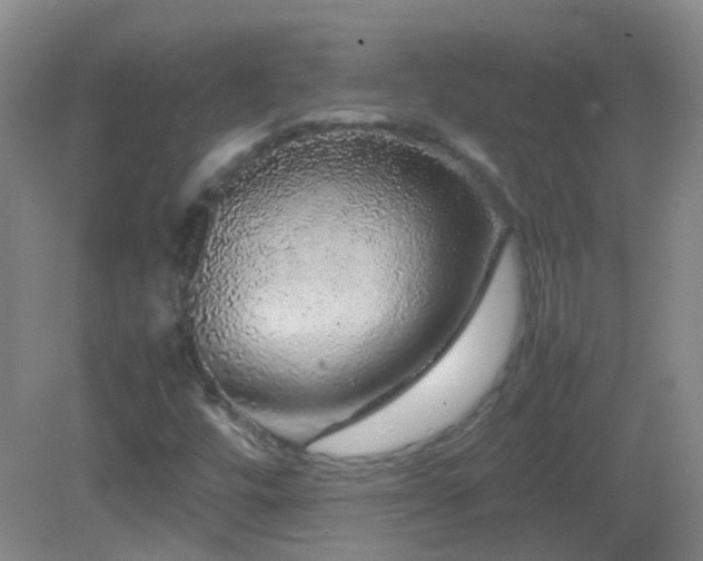 X0000082941448200702011253