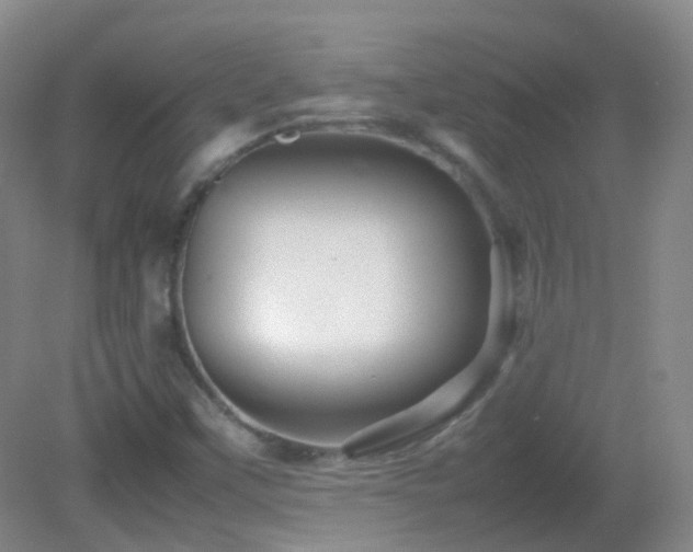 X0000082941451200702011253