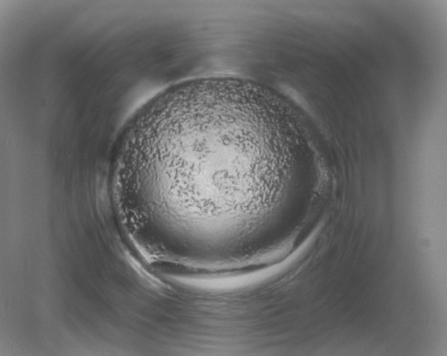 X0000082941452200702011253