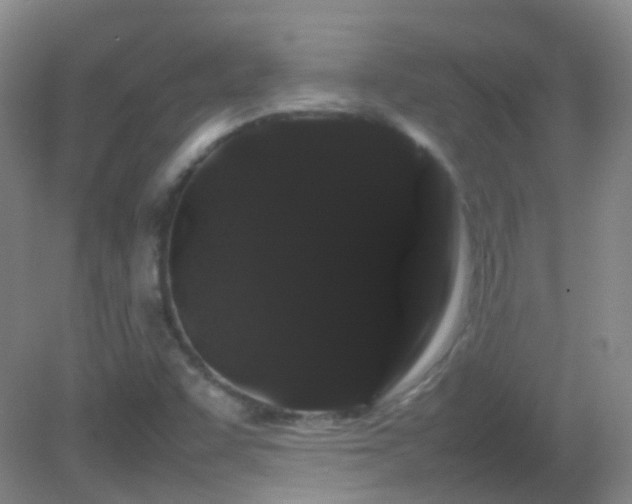 X0000082941455200702011253