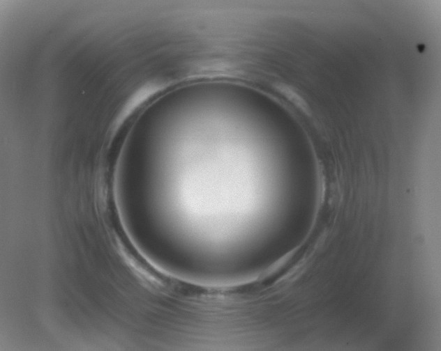 X0000082941458200702011253