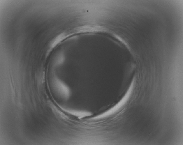 X0000082941459200702011253