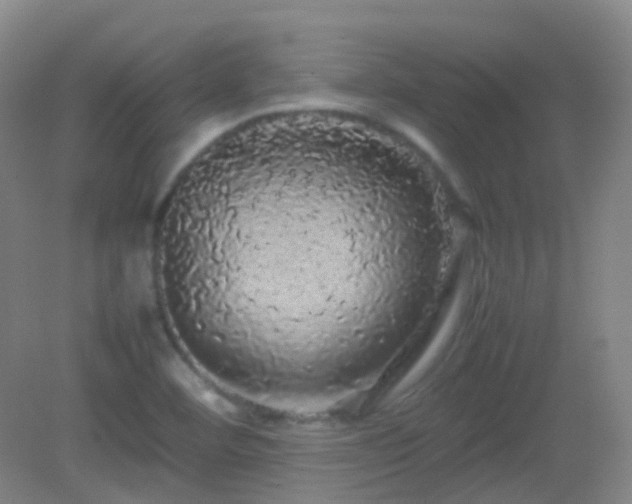 X0000082941460200702011253