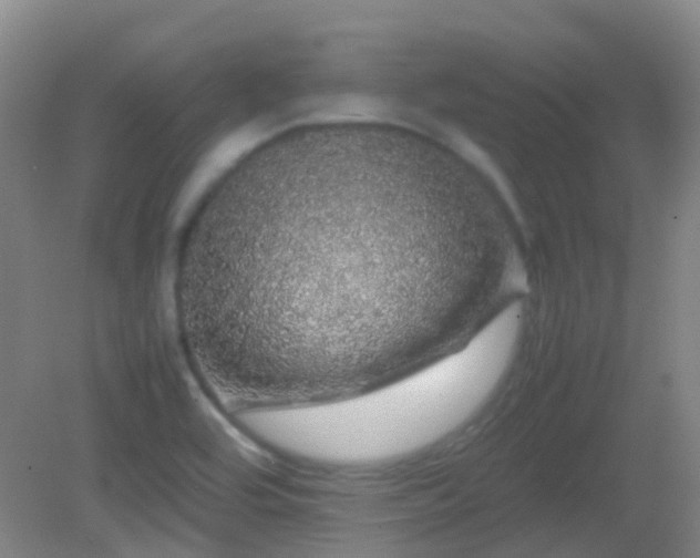 X0000082941464200702011253