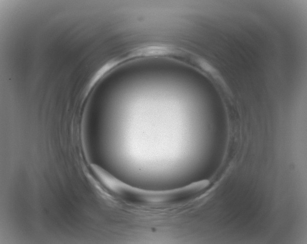 X0000082941473200702011253