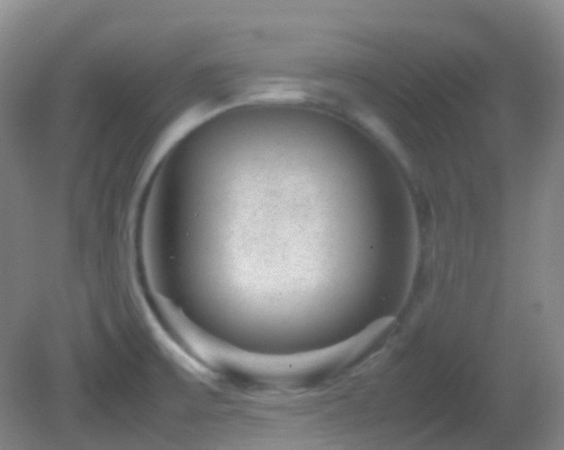 X0000082941475200702011253