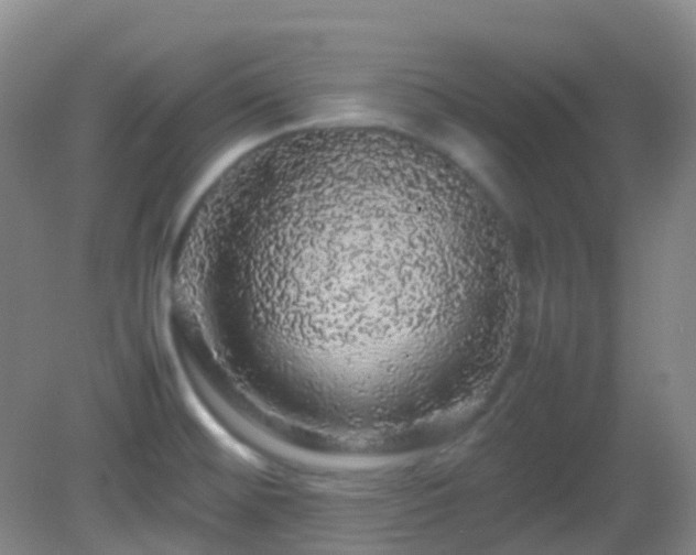 X0000082941476200702011253