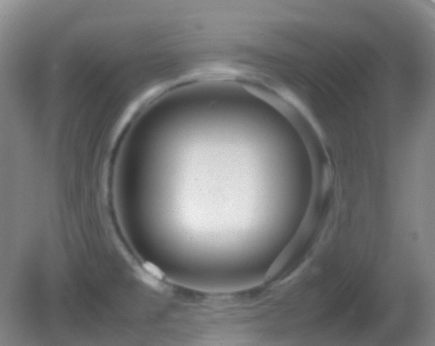 X0000082941477200702011253
