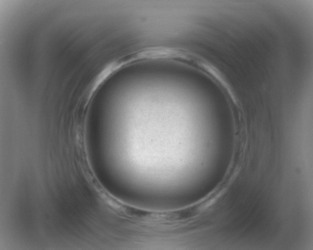 X0000082941481200702011253