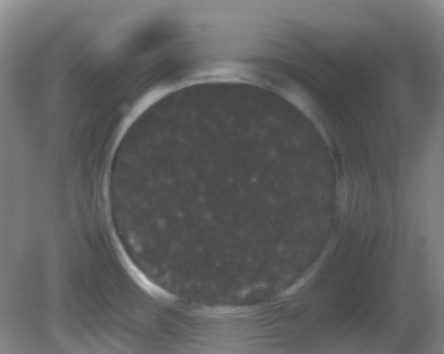 X0000082941482200702011253
