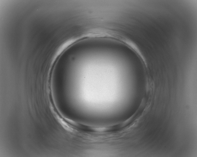 X0000082941485200702011253
