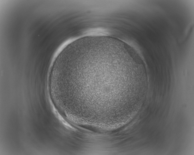 X0000082941488200702011253