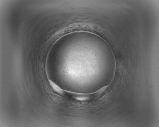 X0000082941489200702011252