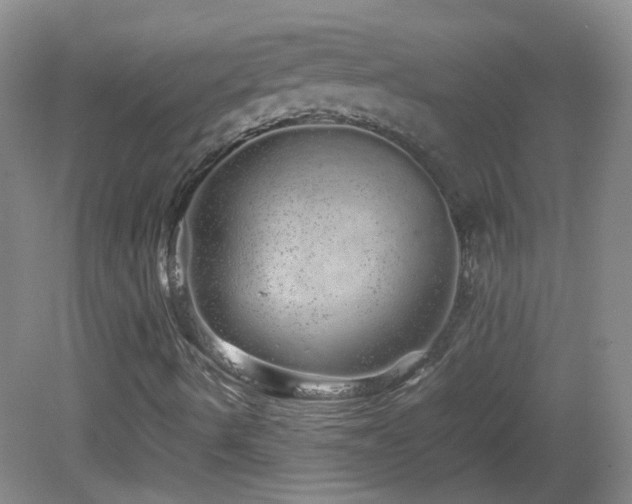 X0000082941490200702011252
