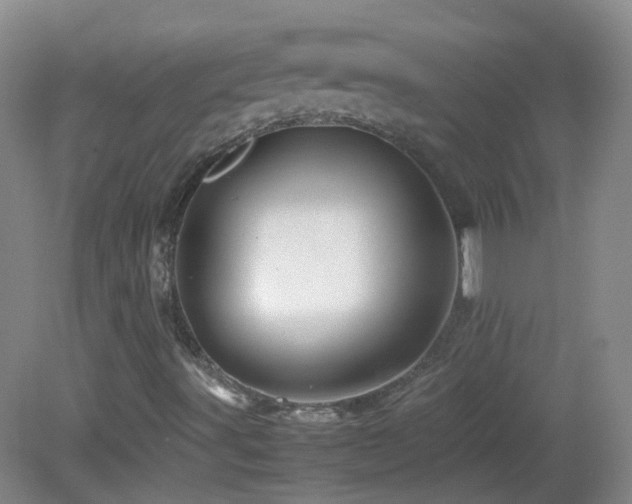 X0000082941491200702011252