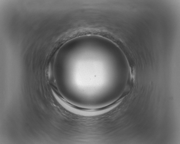 X0000082941492200702011252