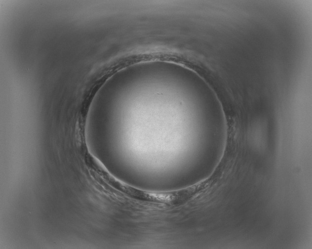X0000082941493200702011252
