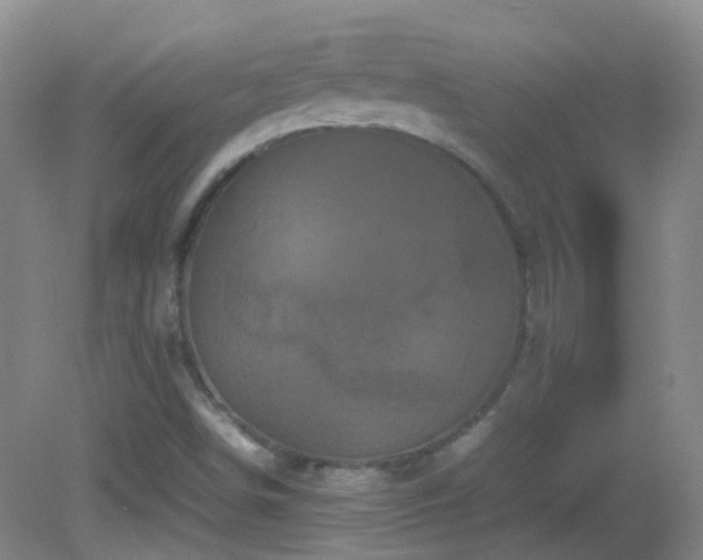 X0000082941498200702011252