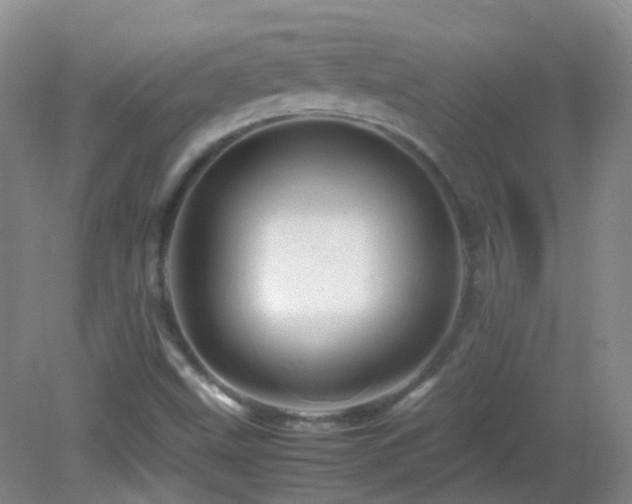 X0000082941499200702011252