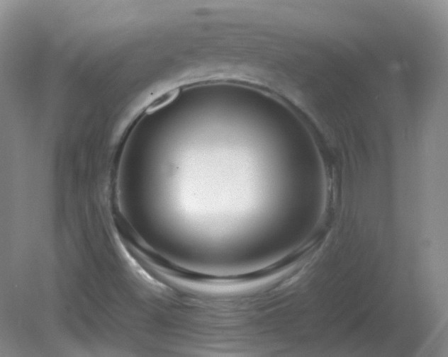 X0000082941500200702011252