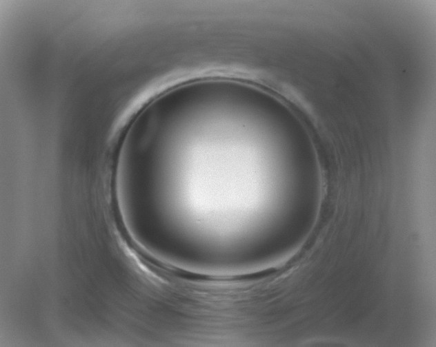 X0000082941504200702011252