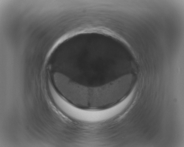 X0000082941506200702011252