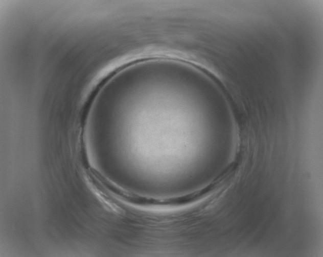 X0000082941507200702011252