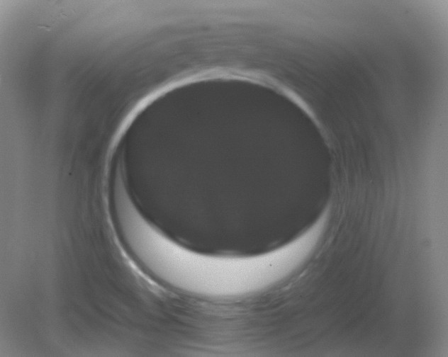 X0000082941508200702011252